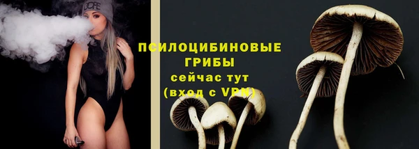 спиды Нефтекумск