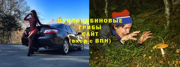 каннабис Коряжма