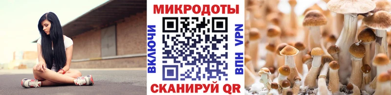 цены наркотик  Юрюзань  Галлюциногенные грибы Psilocybe 